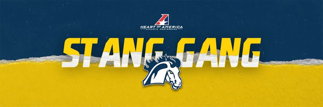 Stang Gang Graphic